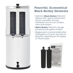 Black Berkey® Filter set